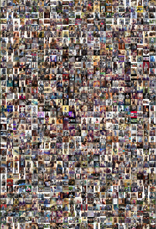 One Million PIBBLE Collage