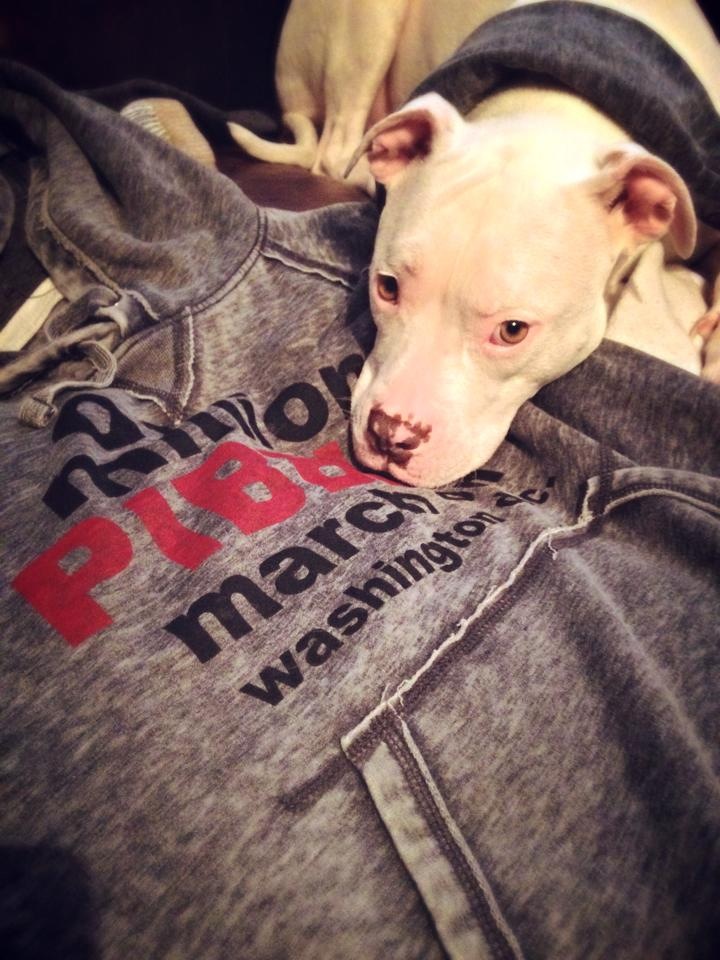PIBBLE March Hoodie Announcement!!