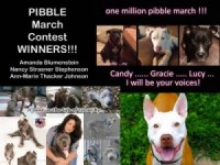 ANNOUNCING OUR PIBBLE MARCH CONEST WINNERS!!!