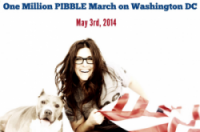 AMAZING Article on Stand Up for Pits & PIBBLE March on CeliaSue!!