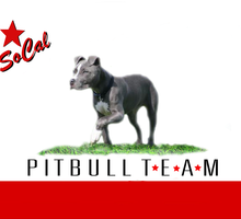 NEW OFFICIAL PIBBLE MARCH SPONSOR: Socal Pit Bull Team!!!