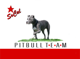 NEW OFFICIAL PIBBLE MARCH SPONSOR: Socal Pit Bull Team!!!