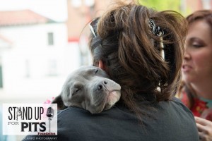 Stand Up for pits pibble hug-300x200