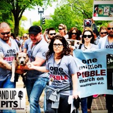 We made history. We are getting louder. We are the majority.