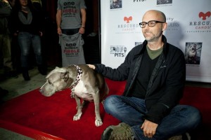 Moby & Angel