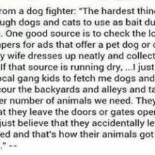 READ THIS QUOTE FROM A DOG FIGHTER.