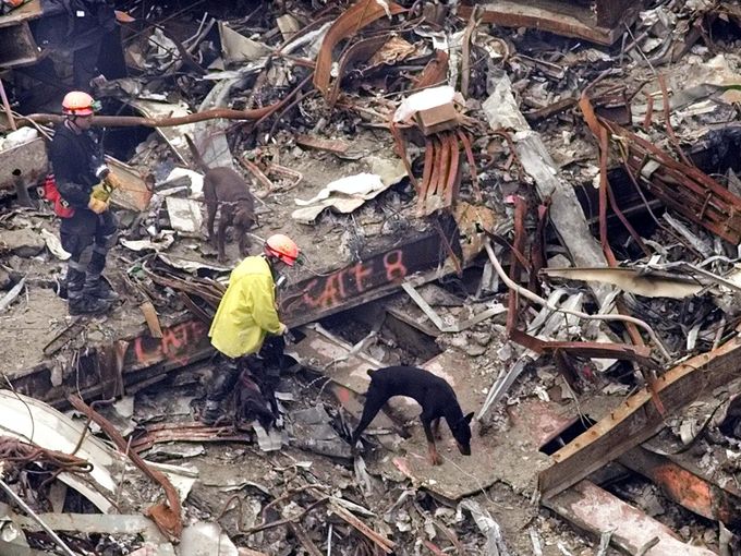 Today we honor and remember the hero dogs of 9/11