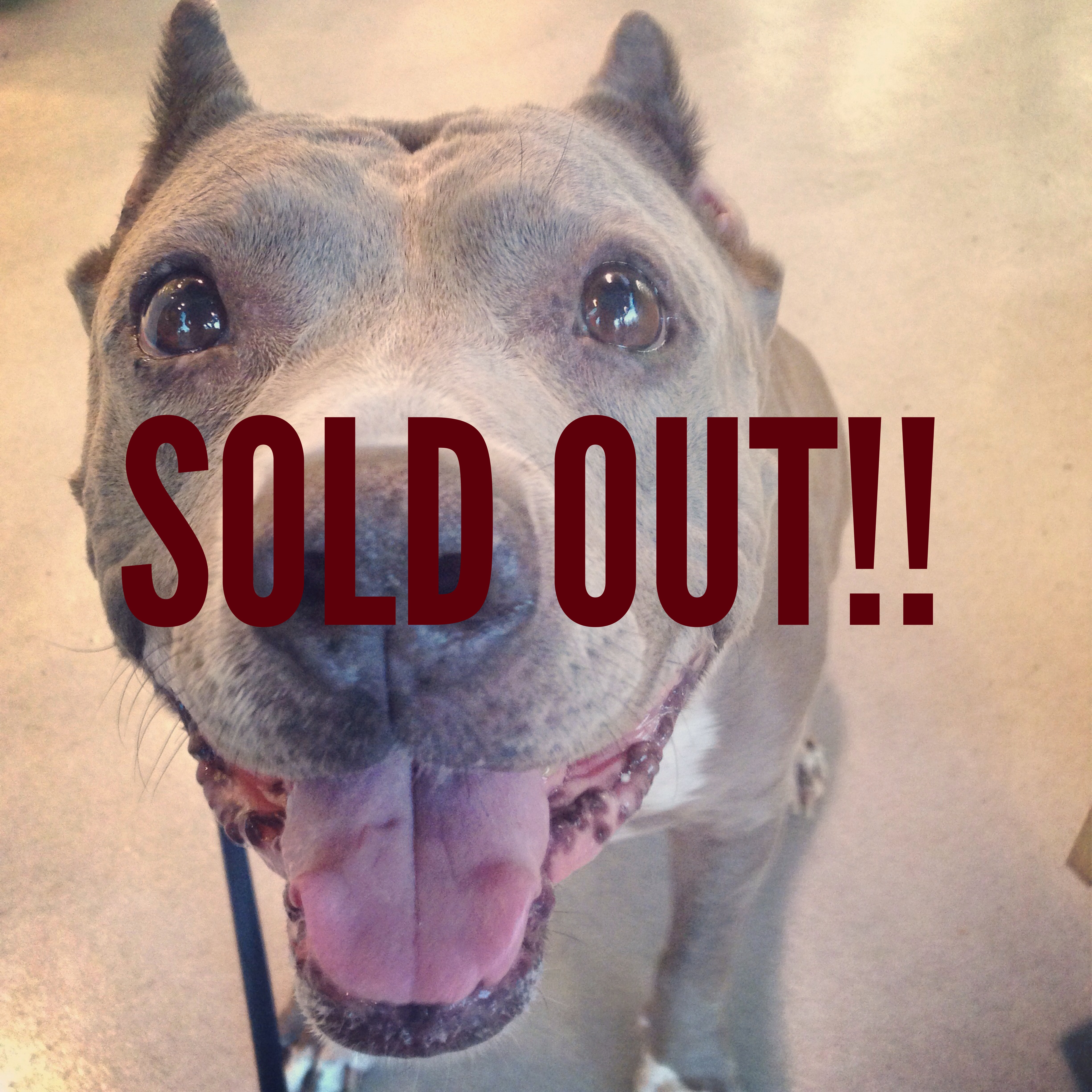 Hollywood’s 9:30p Stand Up For Pits is SOLD OUT!!!