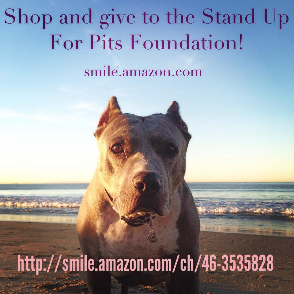 Stand Up For Pits Foundation joins AMAZON SMILE PROGRAM!!