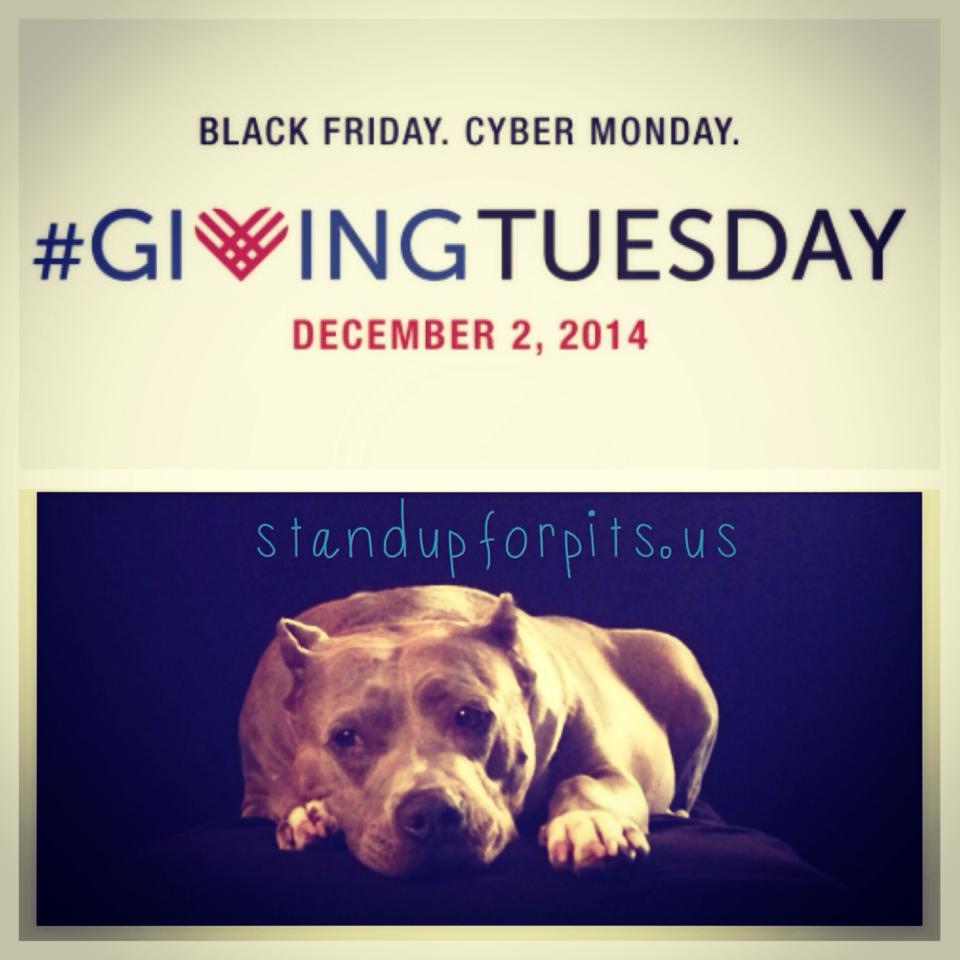 #GIVING TUESDAY is TODAY!!