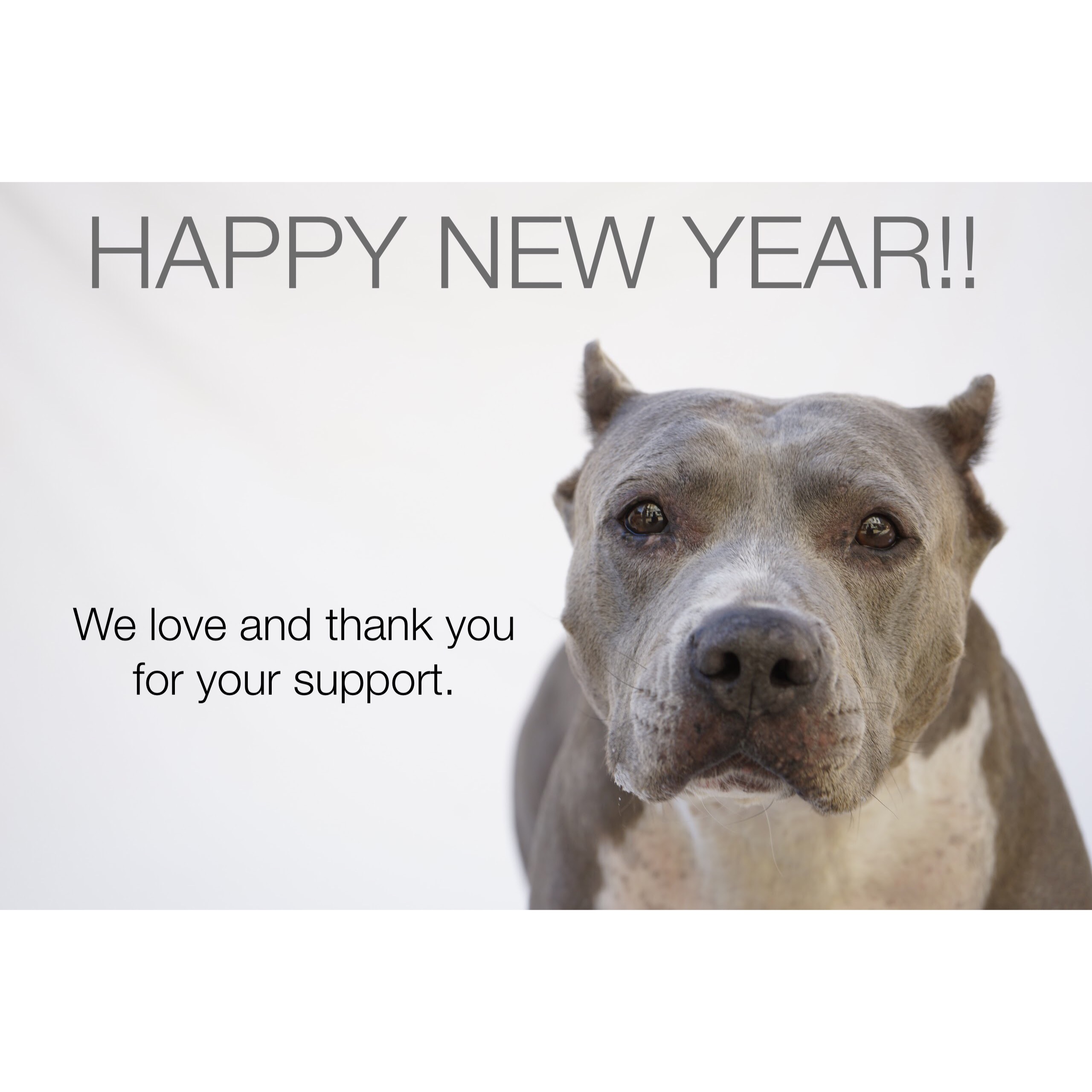 HAPPY NEW YEAR SUFP SUPPORTERS!