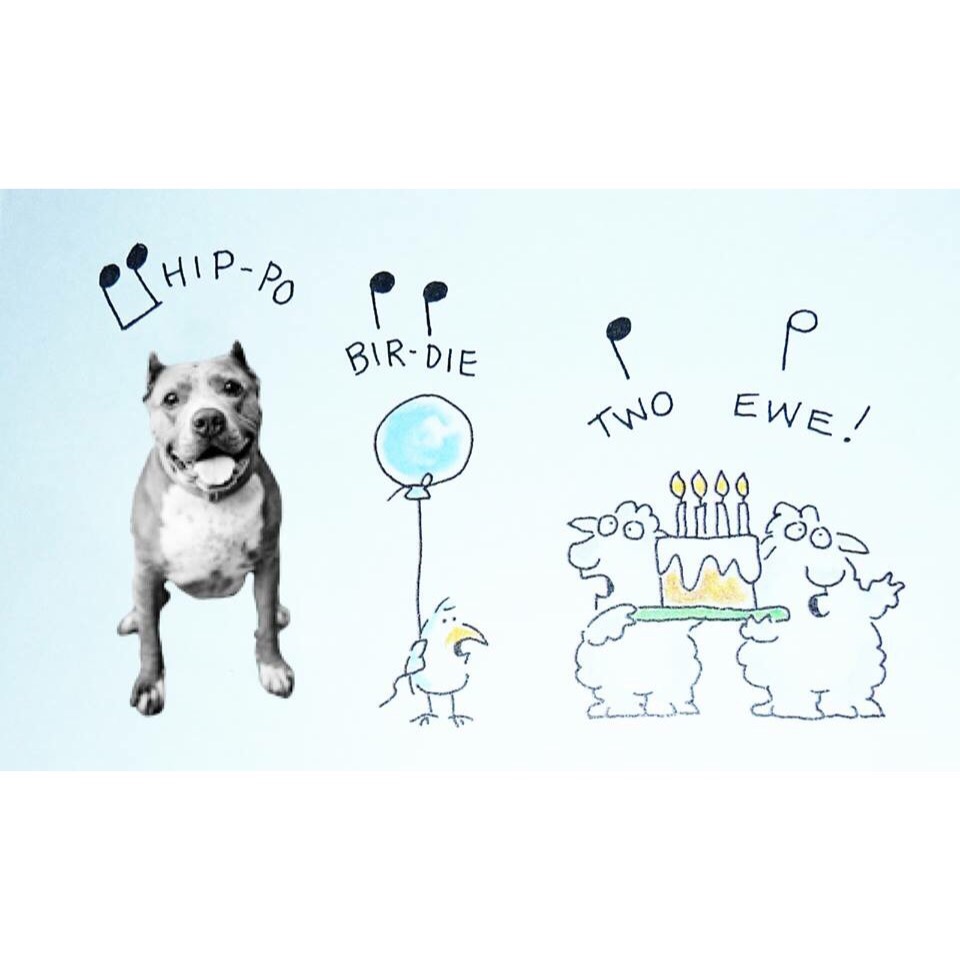 REBECCA CORRy thanks you for all the pibble birthday wishes!!