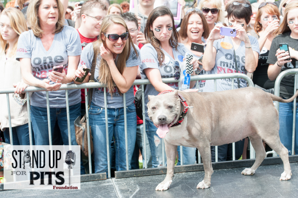 pibble march_140503DSC_0233