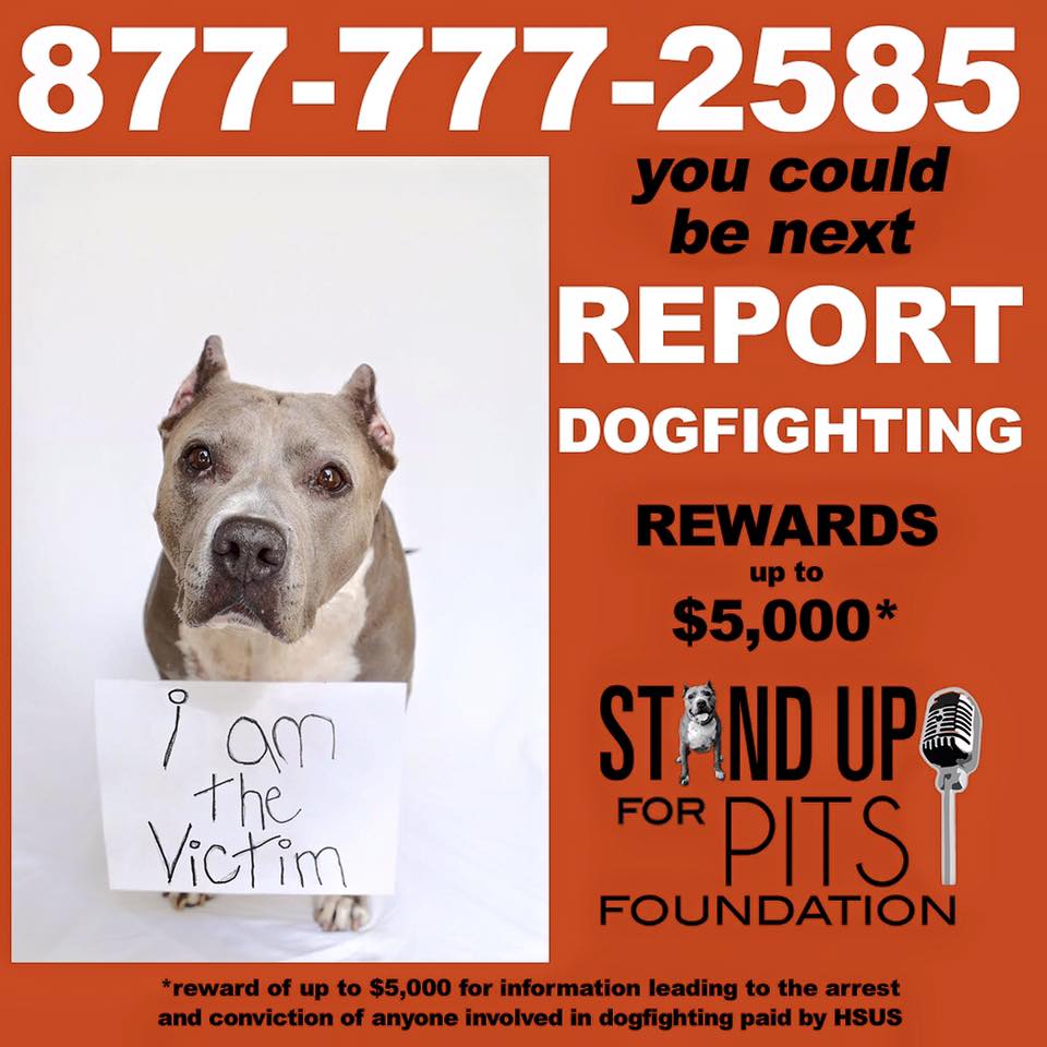 SUFP Foundation dogfighting tip line is LIVE!