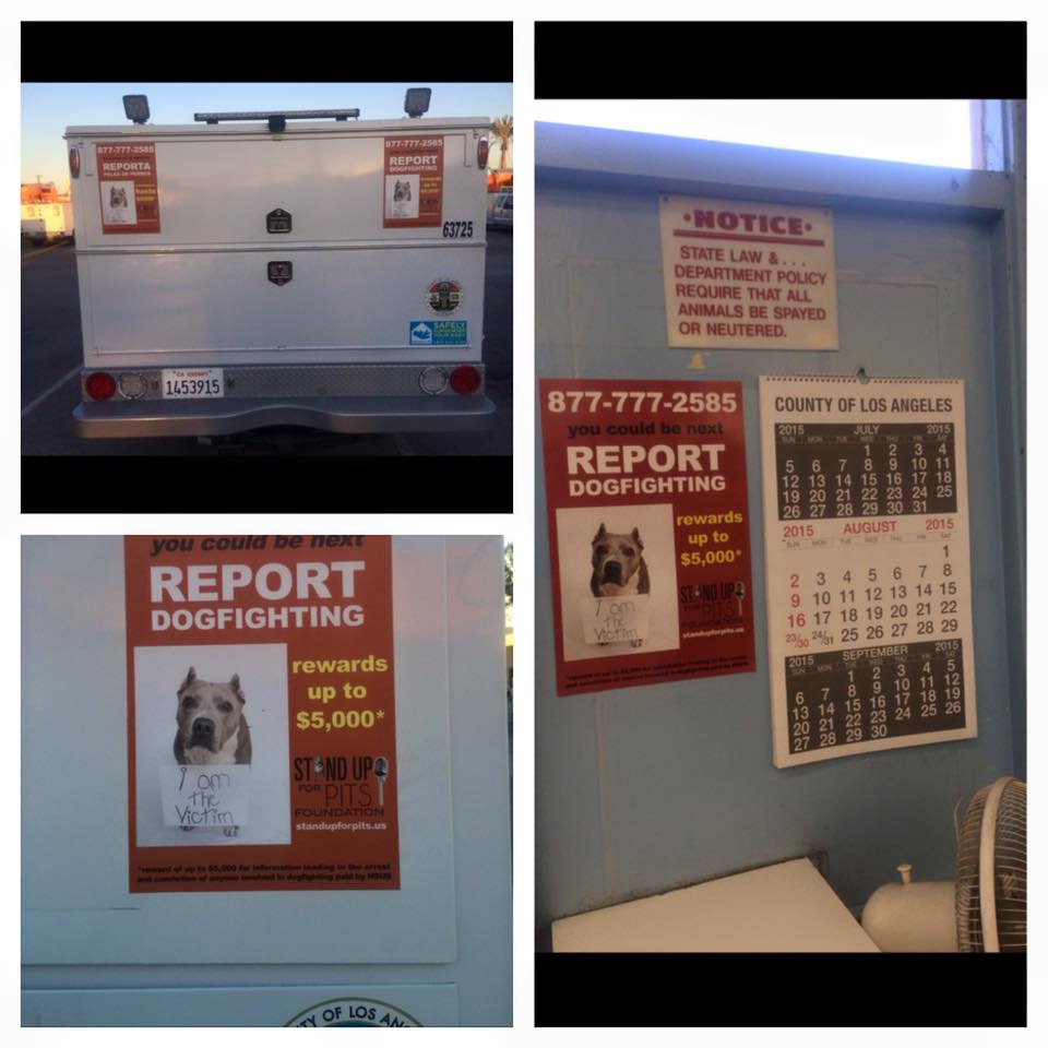 BALDWIN PARK SHELTER AND VEHICLES NOW HAVE OUR TIP LINE INFORMATION
