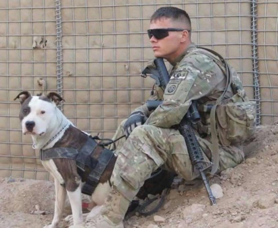WE HONOR OUR TWO AND FOUR LEGGED VETERANS