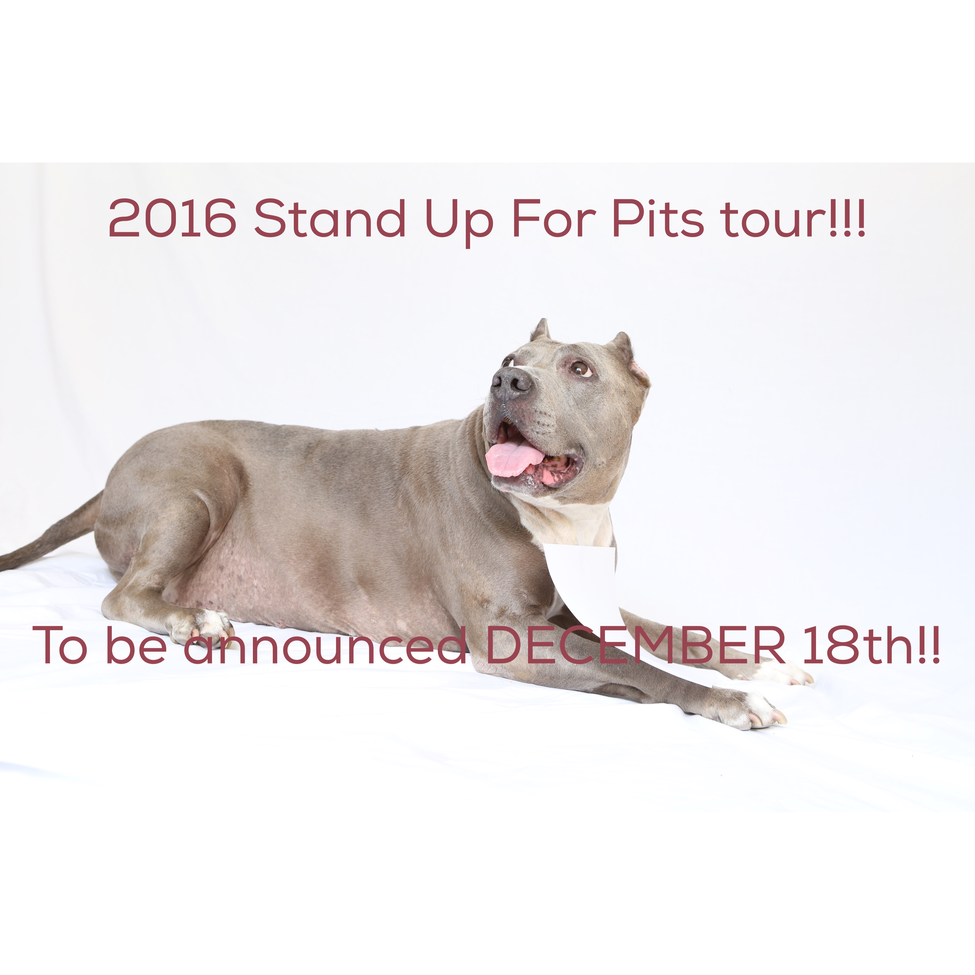 2016 Stand Up For Pits tour!!!!