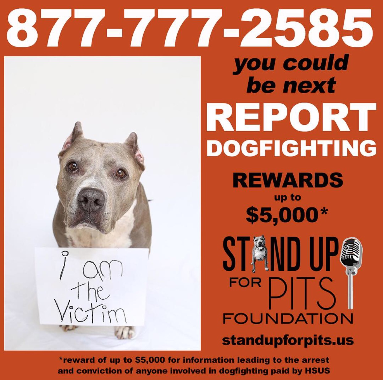 REPORT DOGFIGHTING. DO IT.