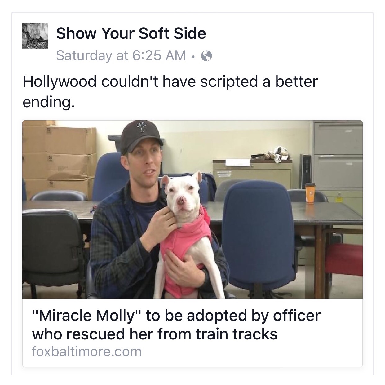 MOLLY GOT ADOPTED BY HER HERO!!