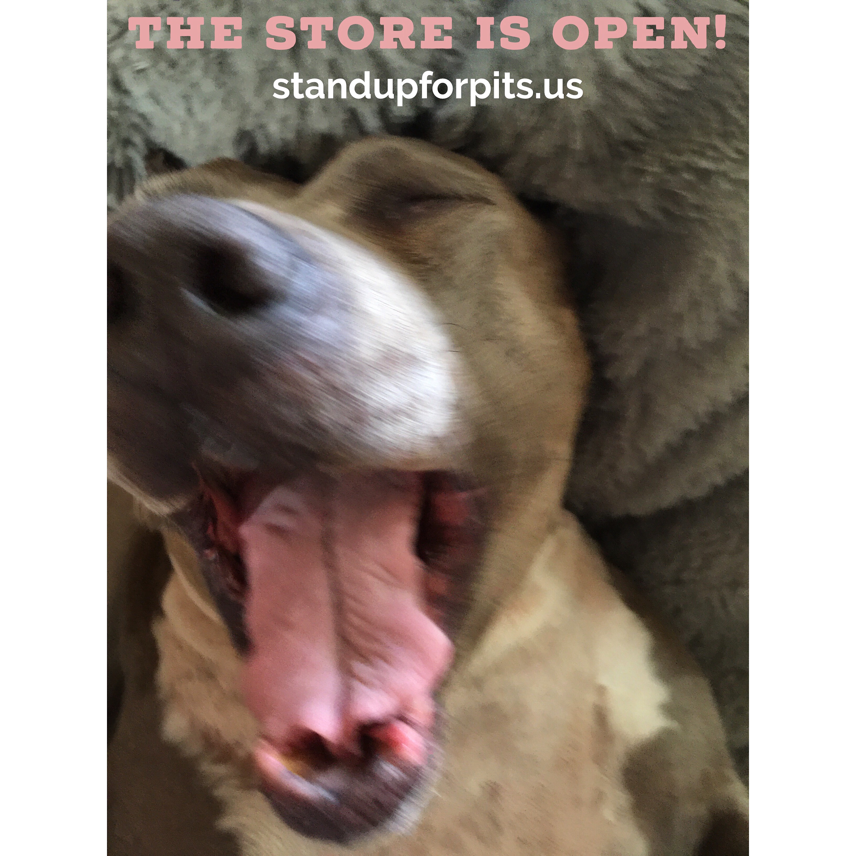 The NEW Stand Up For Pits store is NOW OPEN!!