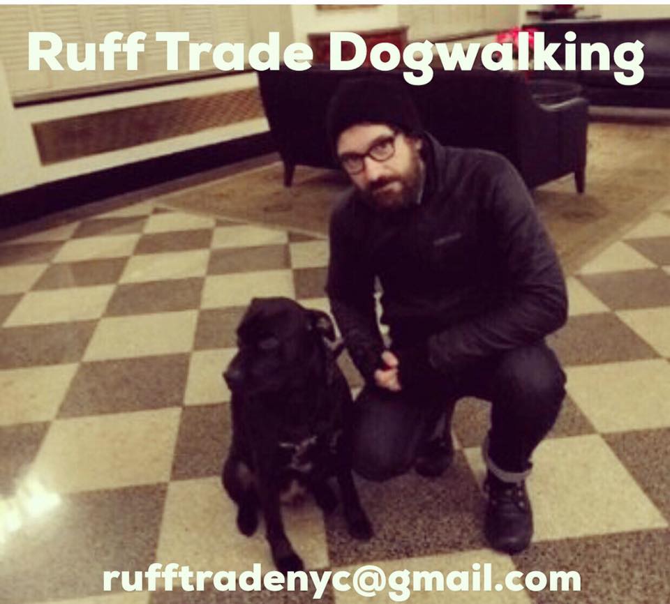 Great NYC area Dog Walker/Trainer!