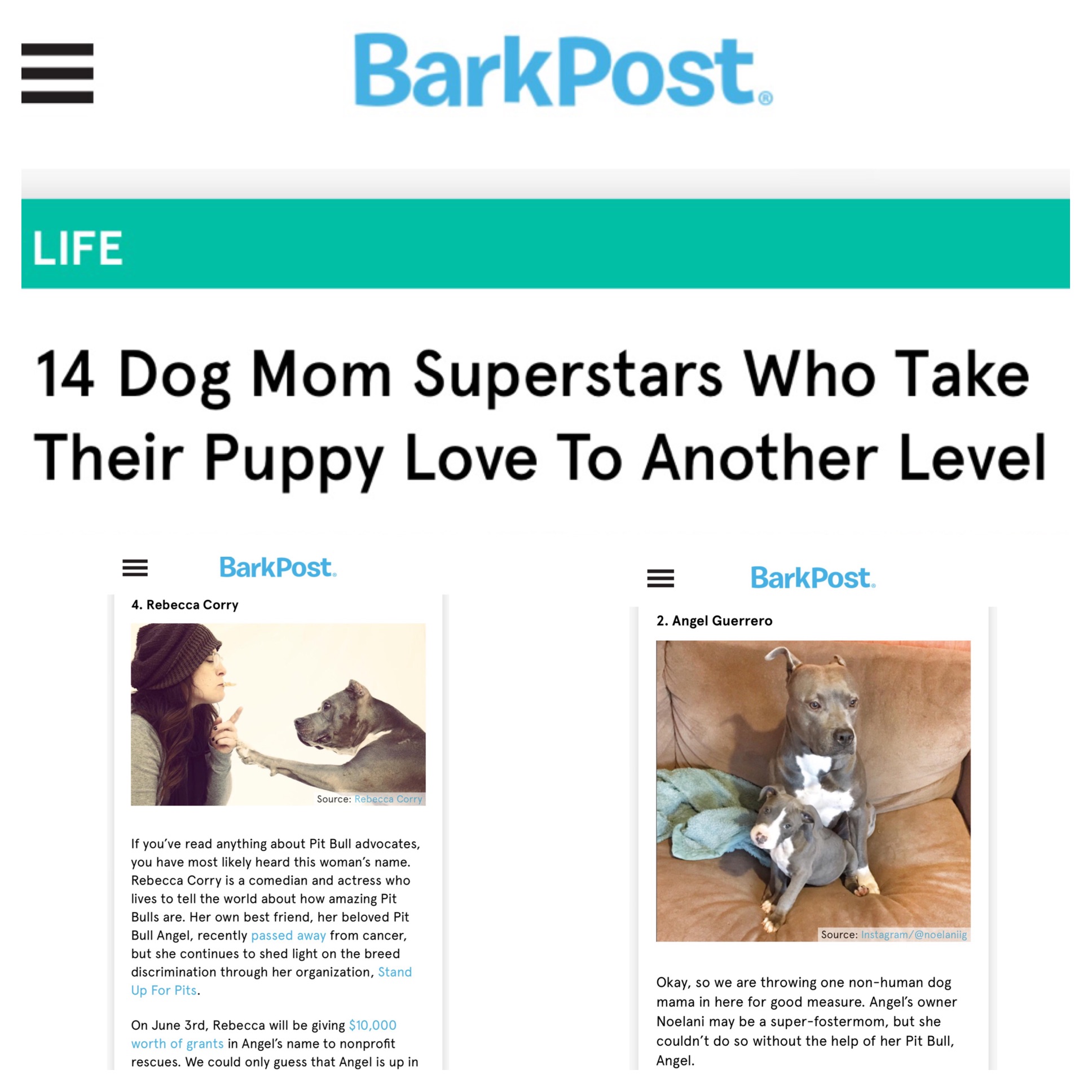 BARK POST-REBECCA CORRY-DOG MOMS
