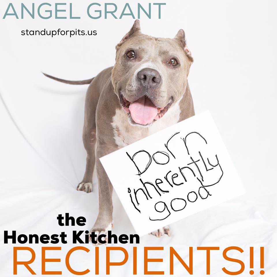 the HONEST KITCHEN RECIPIENTS ANNOUNCED!!!