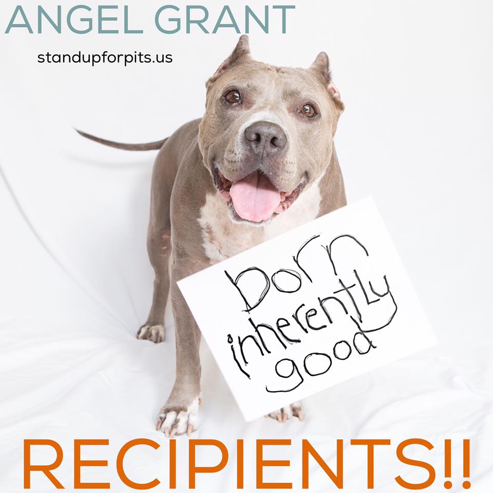 ANGEL GRANT RECIPIENTS ANNOUNCED!!!!