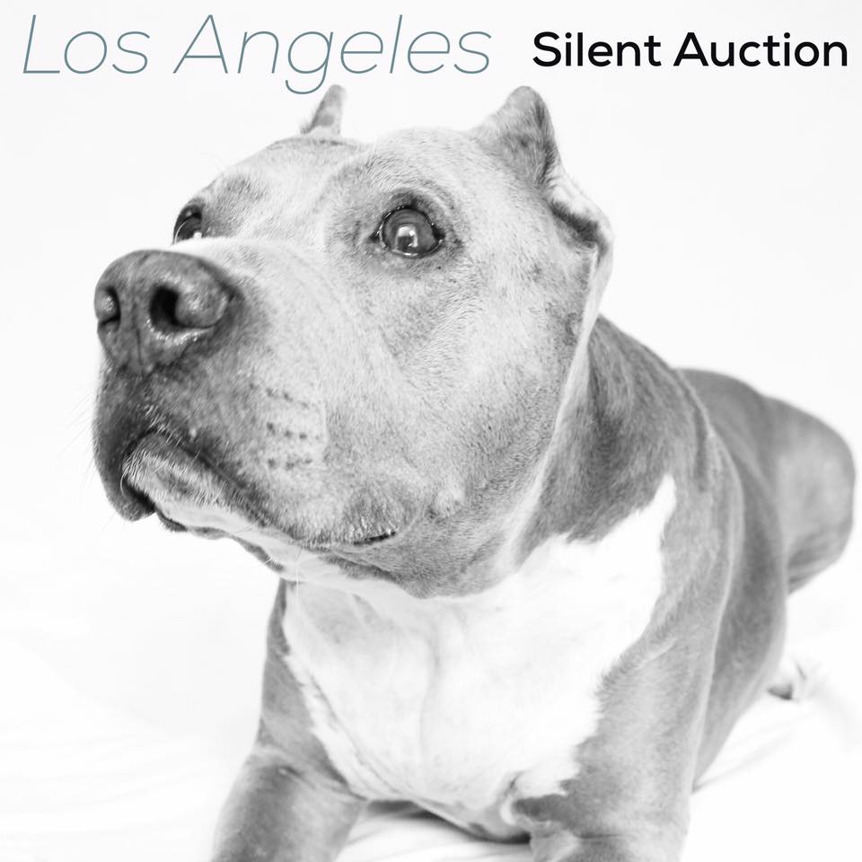 Help save lives by donating to the SUFP Los Angeles SILENT AUCTION