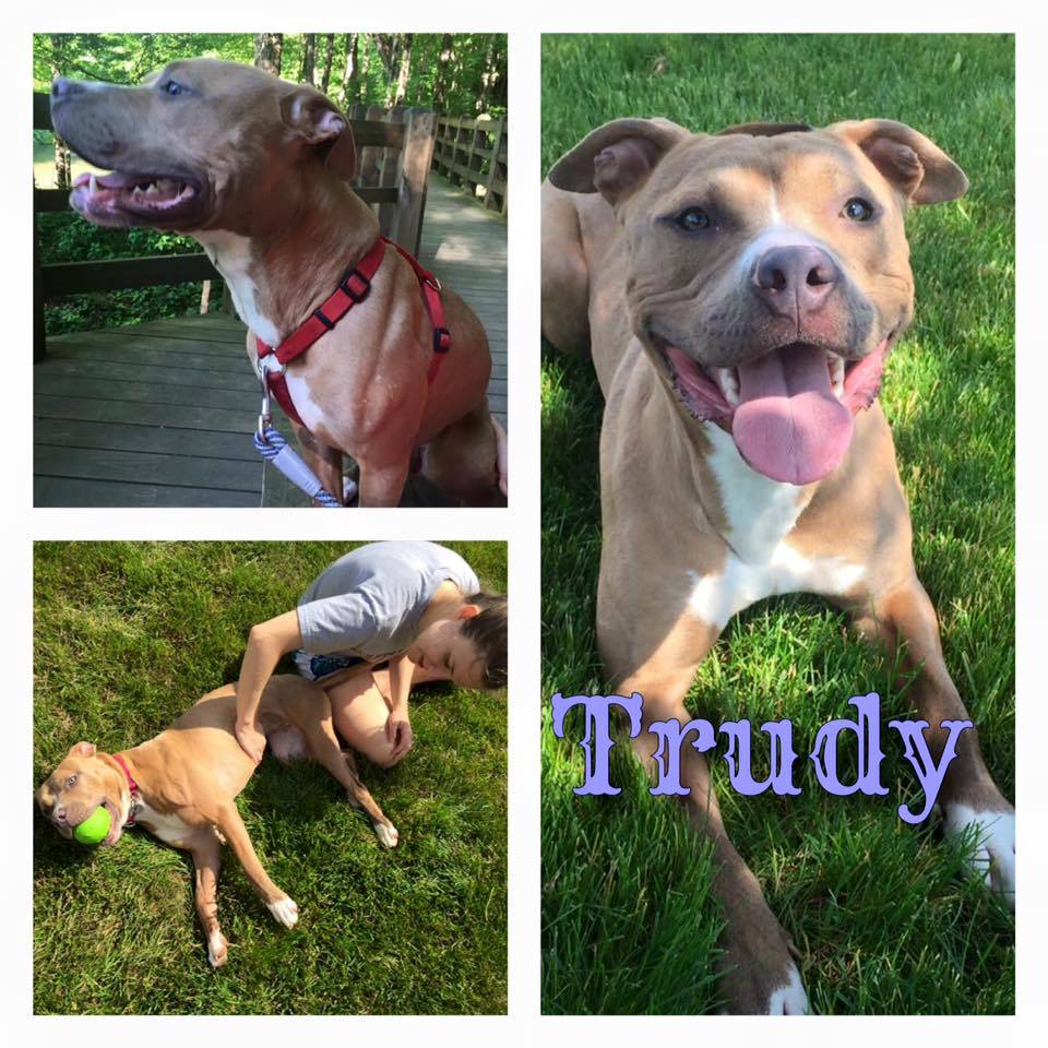 MEET TRUDY!!