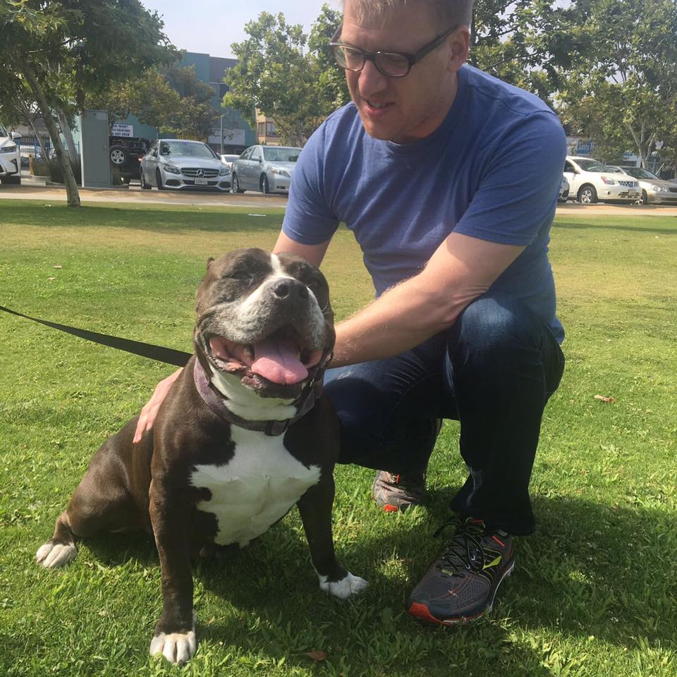 SWEET OLIVE MET A POTENTIAL ADOPTER! Stay tuned….