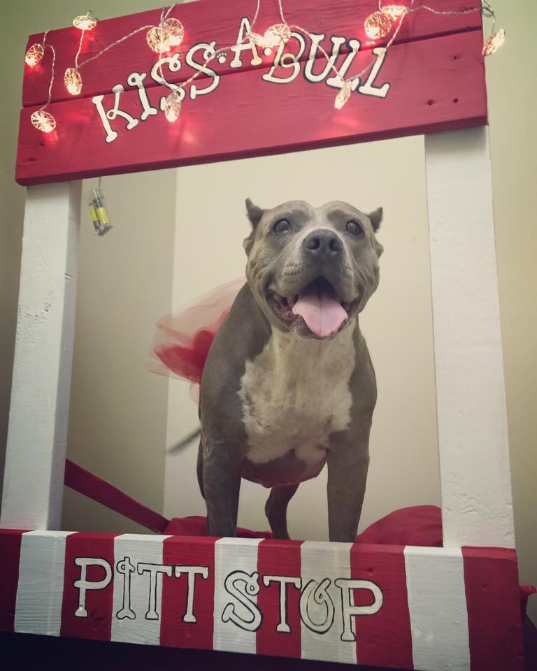 TOMORROW  Indianapolis Stands Up For Pits!!