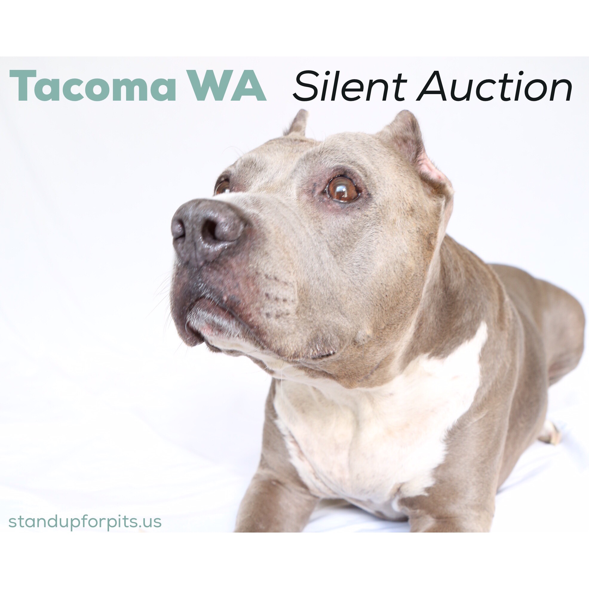 DONATE to the TACOMA WA SUFP Silent Auction!