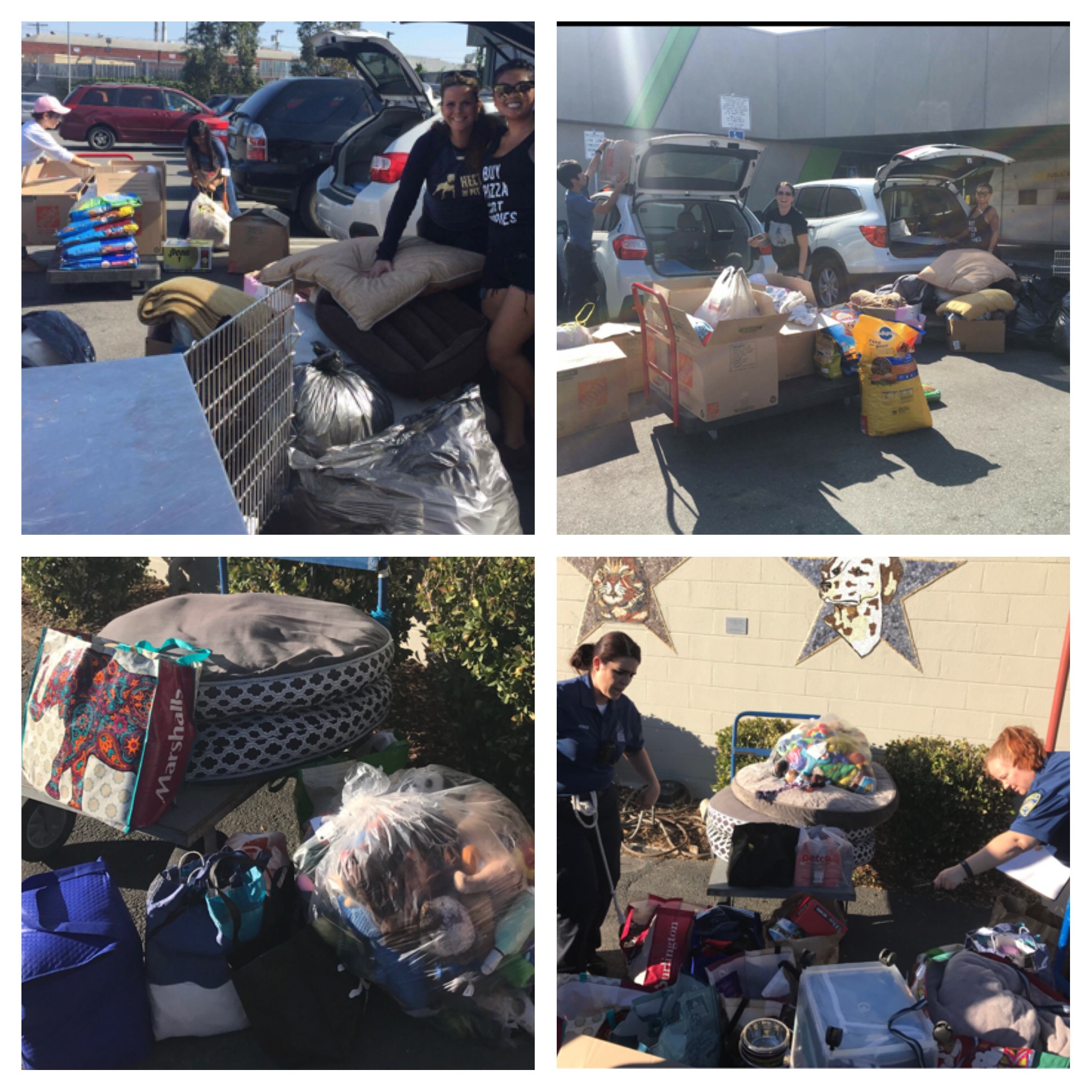 SUFP Donation Drive HOLLYWOOD HUGE success!!!