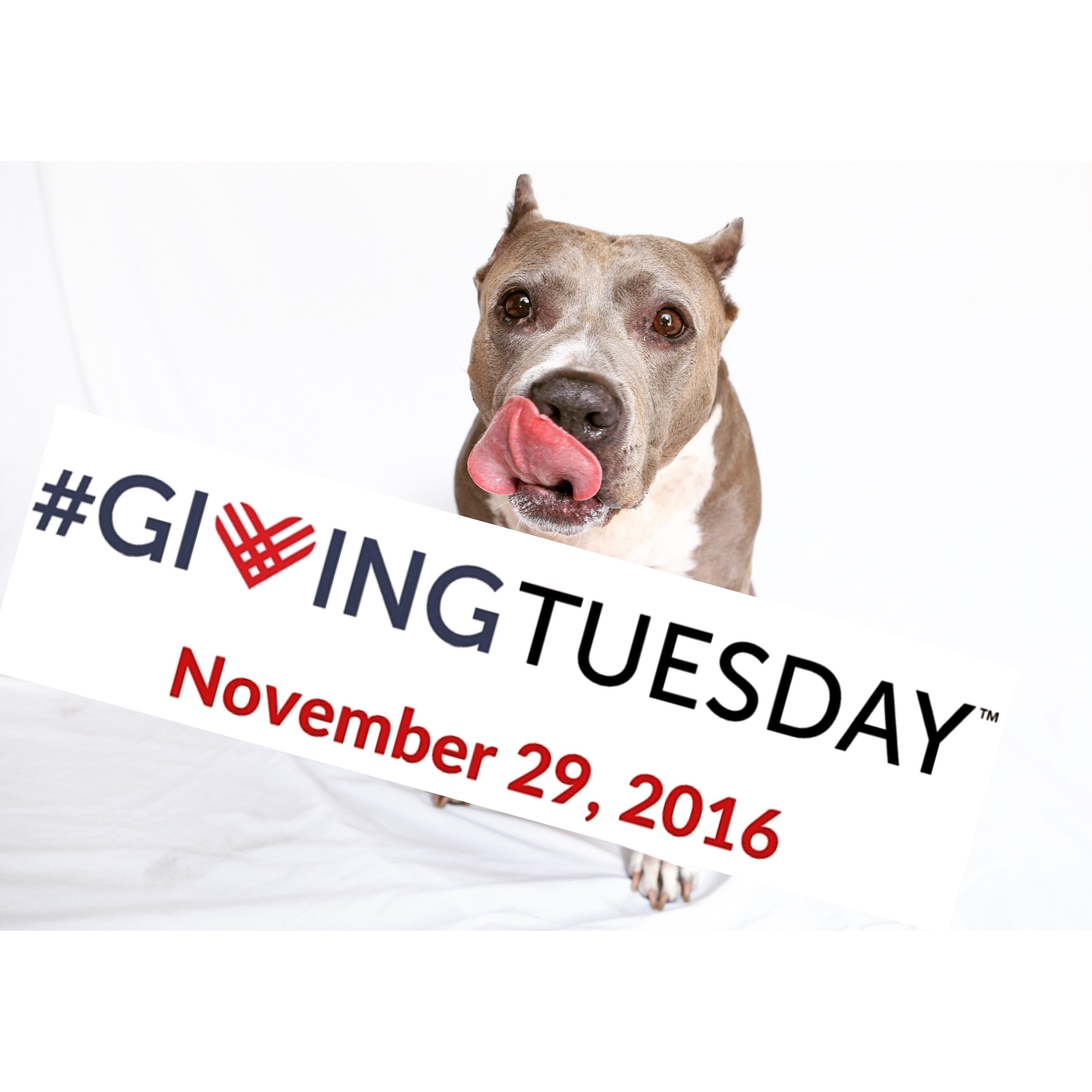 TODAY IS GIVING TUESDAY!!!