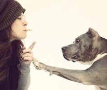A Look Into the Amazing Woman – and Dog – Who Launched a Movement for Pit Bulls Across the U.S.