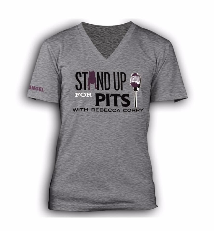 Stand Up For Pits tee now on CLEARANCE!