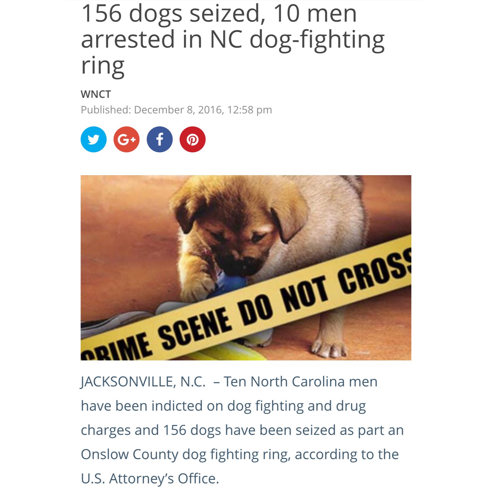 156 DOGS SEIZED. 10 PIECES OF HUMAN GARBAGE ARRESTED.