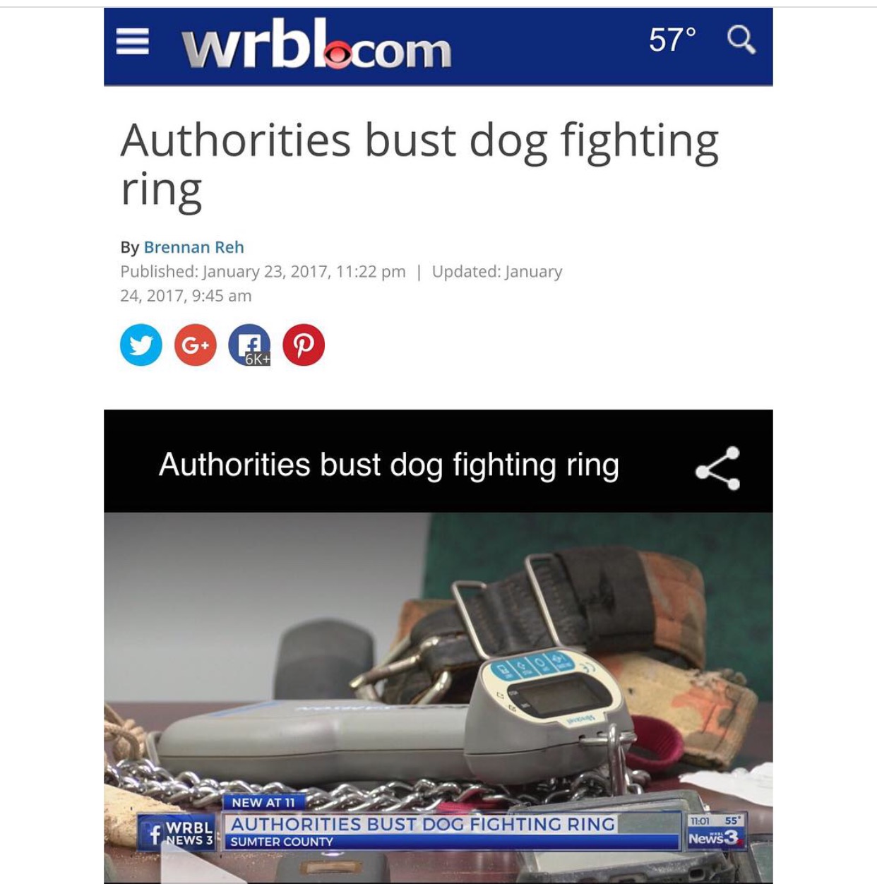 DOGFIGHTING CONTINUES. IT MUST END.