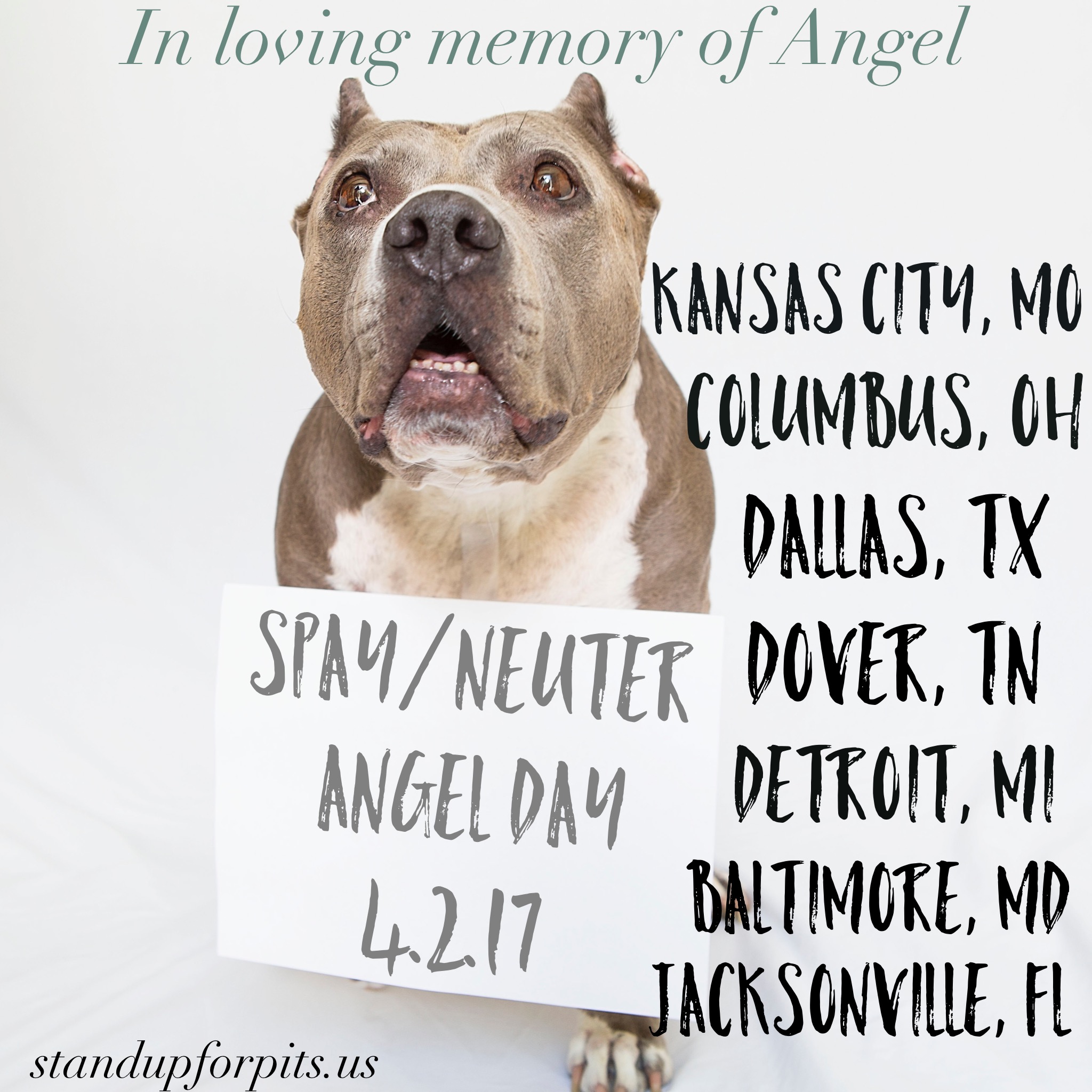 APRIL 2nd is Spay/Neuter ANGEL Day!!