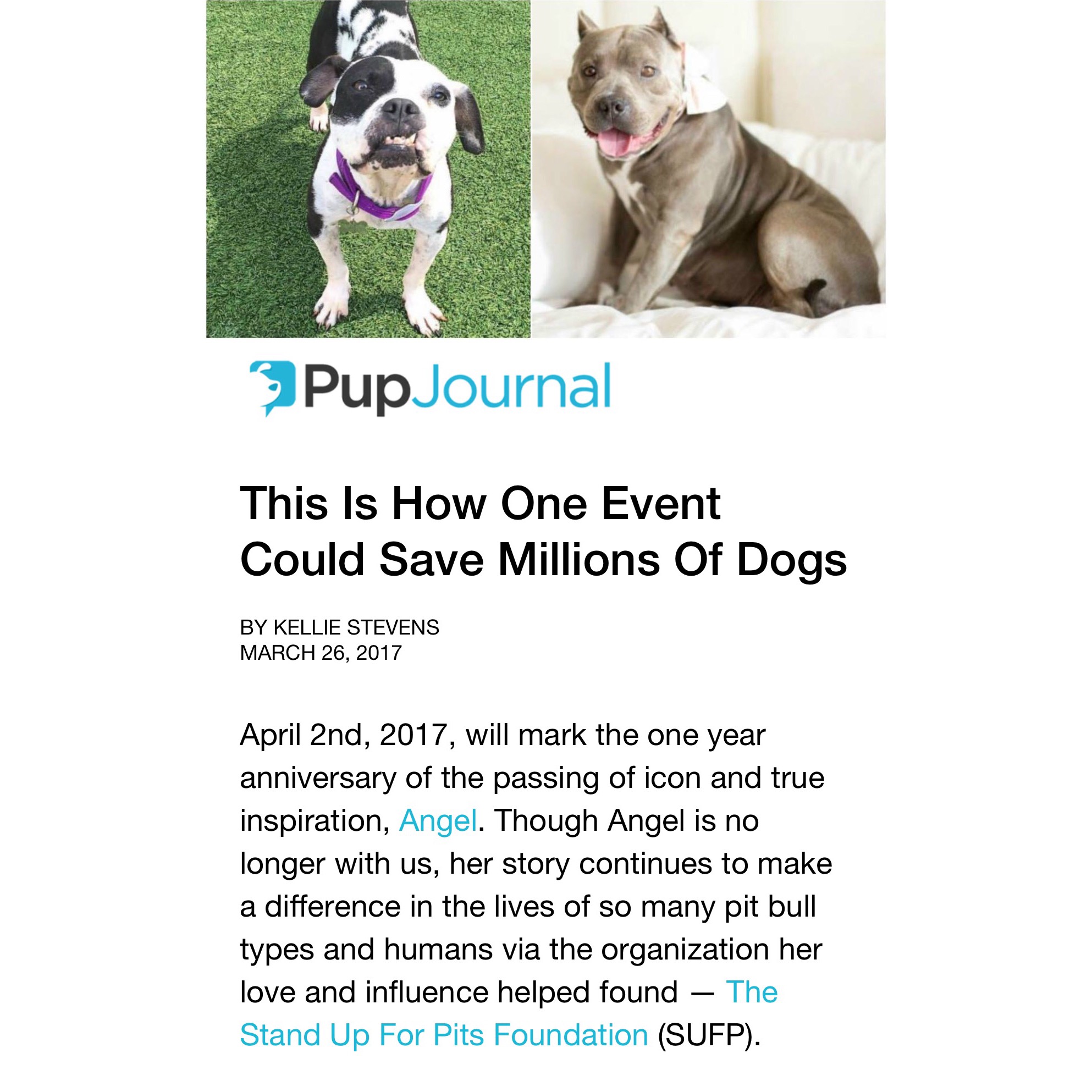 NEW Pup Journal piece on Spay/Neuter ANGEL Day! Read!