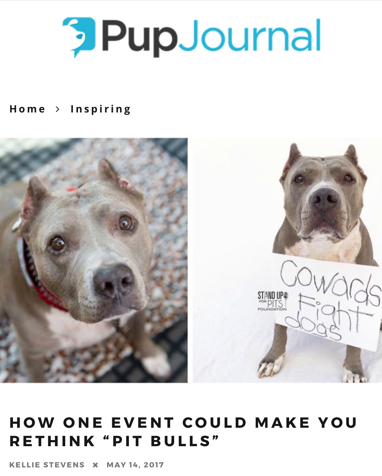 Stand Up For Pits is magic