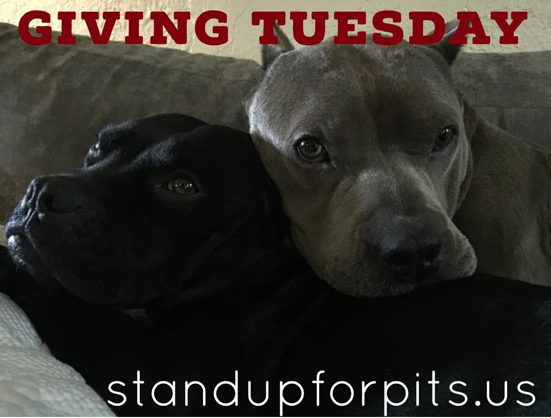 TODAY is Giving Tuesday!!