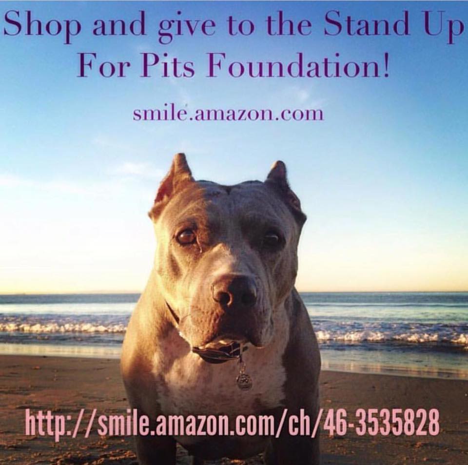 Amazon Smile for Stand Up For Pits Foundation!