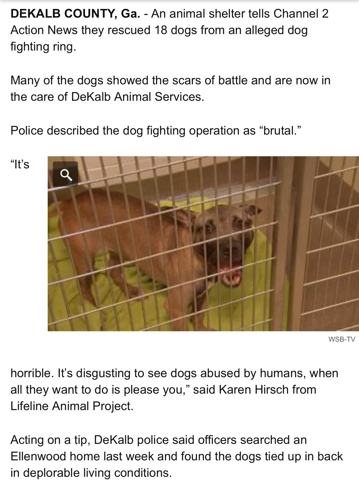 AND… ANOTHER DOGFIGHTING RING BUST