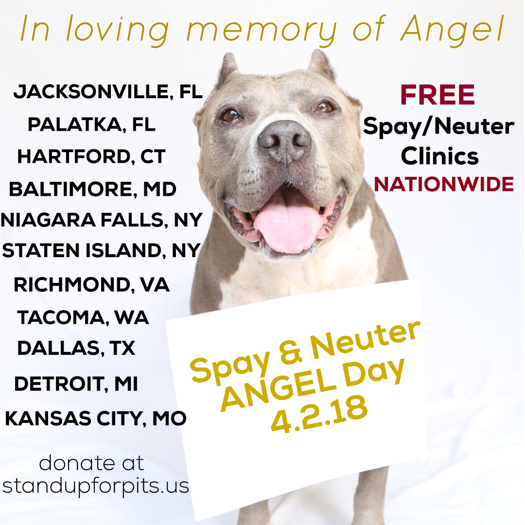 ANGEL DAY -April 2nd- Spay & Neuter nationwide!