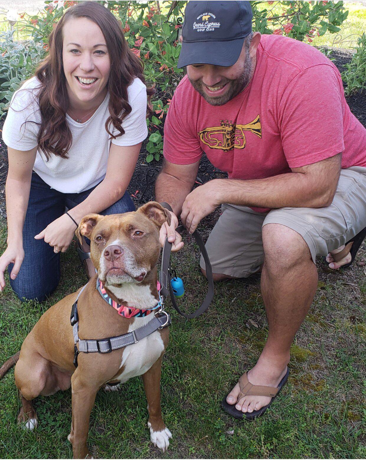 DONUT IS ADOPTED!!!