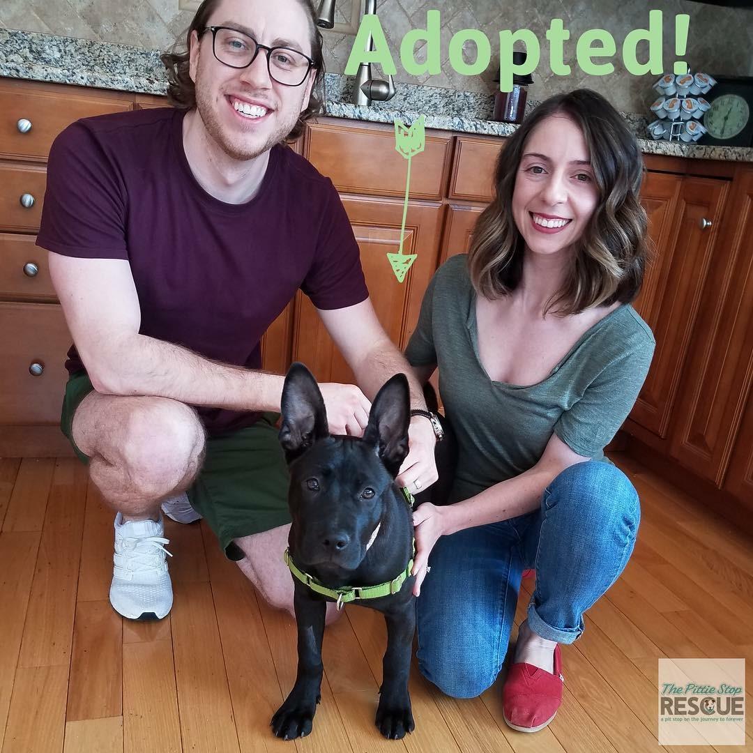 ANOTHER SUFP HIPPO ADOPTED!!!