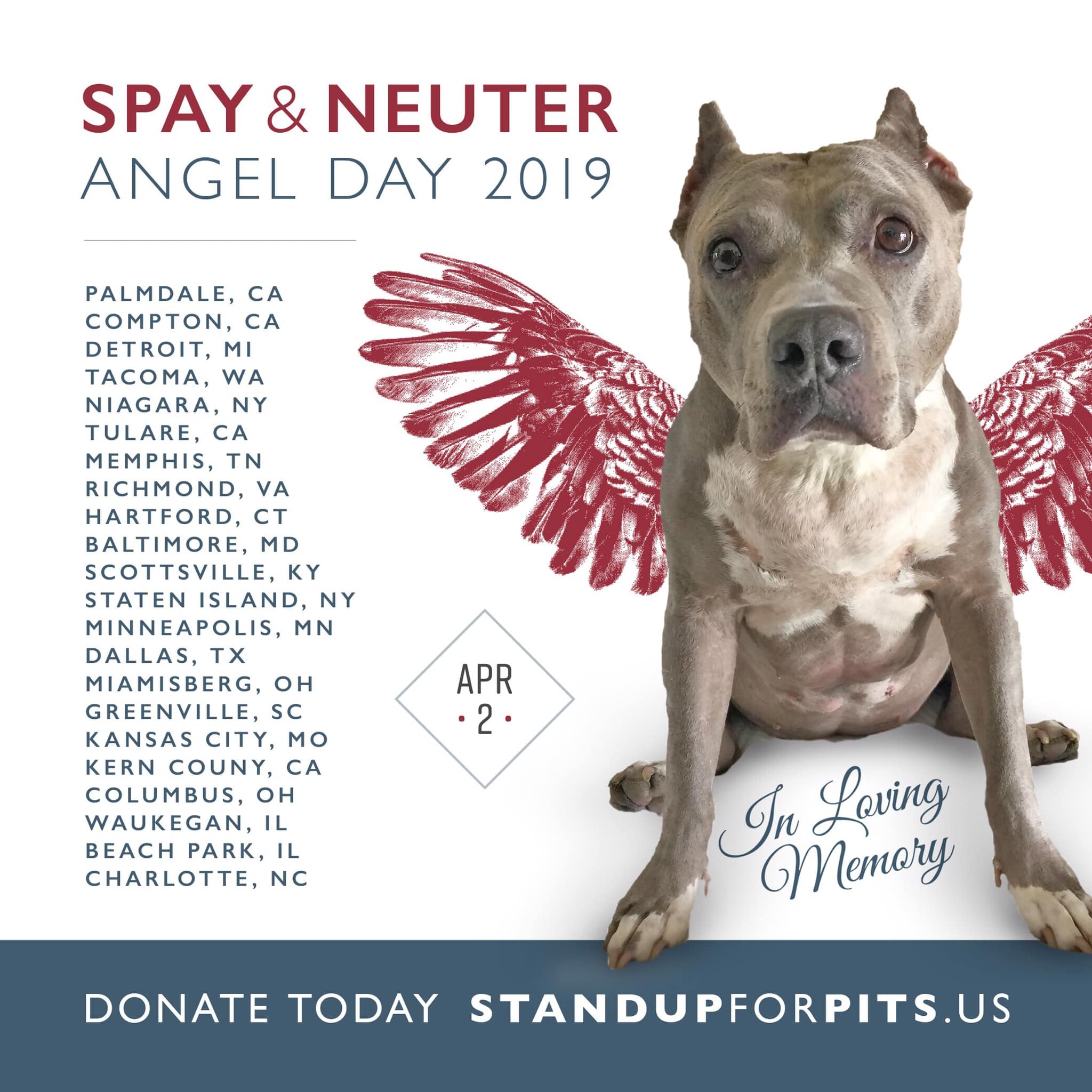 Spay & Neuter ANGEL Day 2019 cities announced!!!!