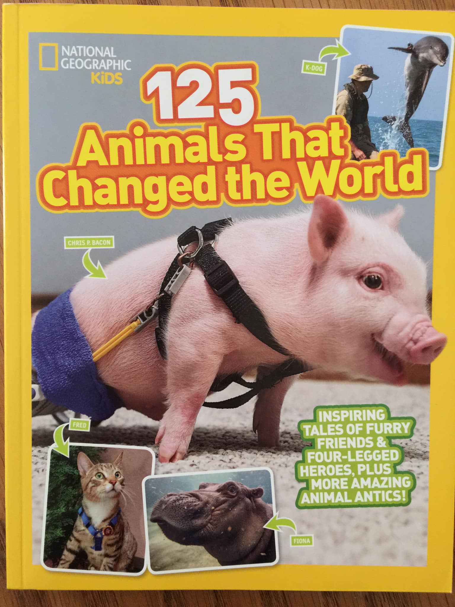 ANGEL BECOMES NATIONAL GEOGRAPHIC “125 Animals That Changed the World”